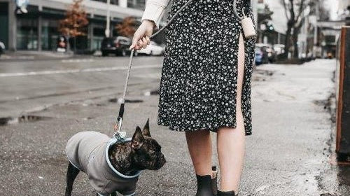 BEST BOOTS FOR WALKING THE DOG - Chooka