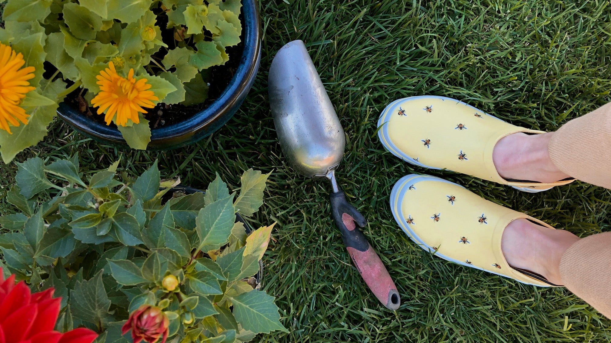 URBAN GARDENING - Chooka