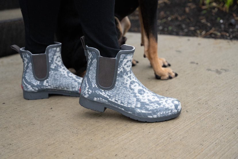 PODCASTS FOR WALKING YOUR DOG - Chooka