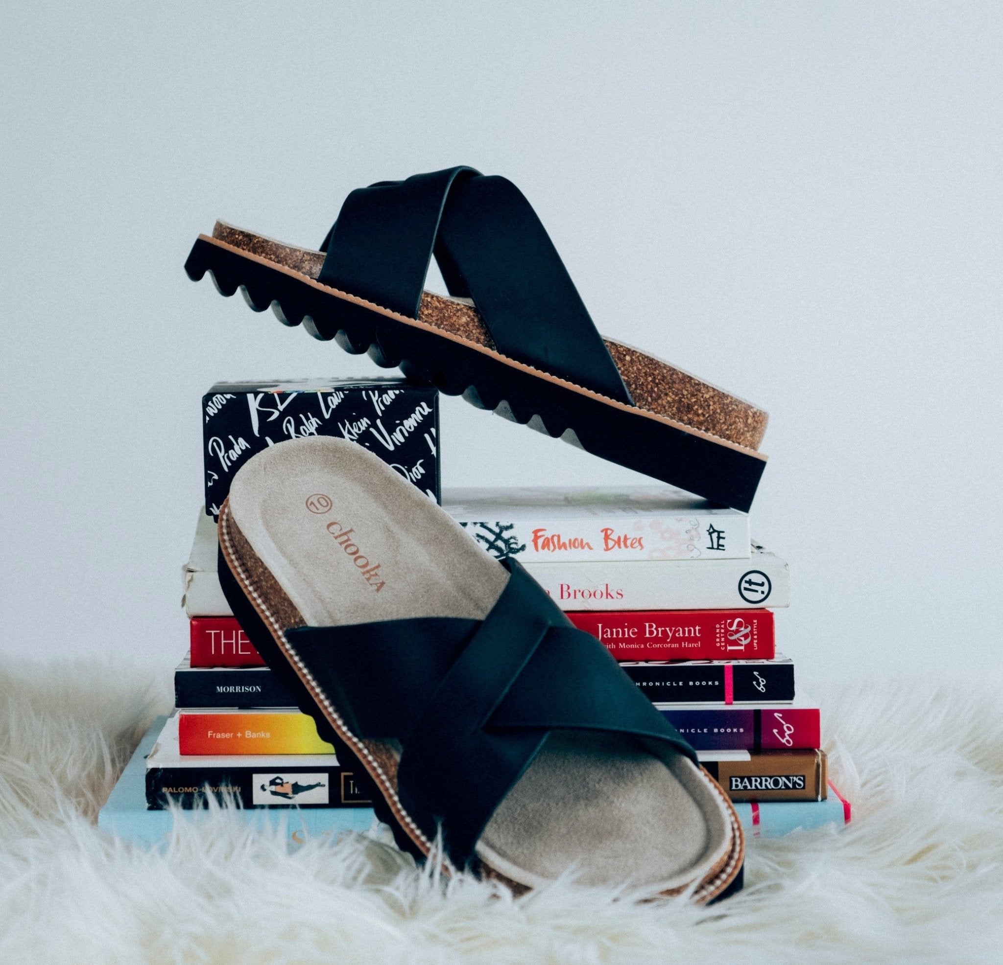 SUMMER READING LIST - Chooka