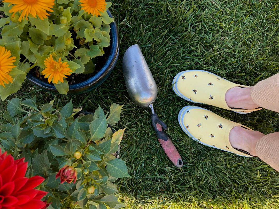 URBAN GARDENING - Chooka