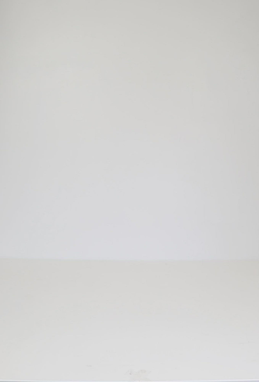 PRIDE SHOE - WHITE